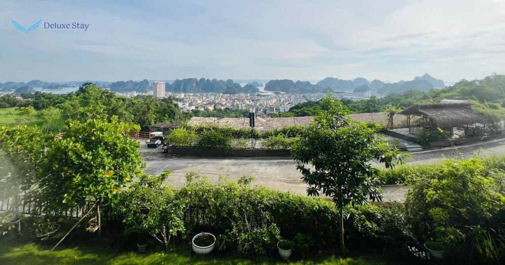 BT6B-15 FLC Ha Long