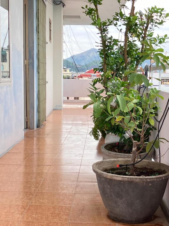 Green & Art Homestay