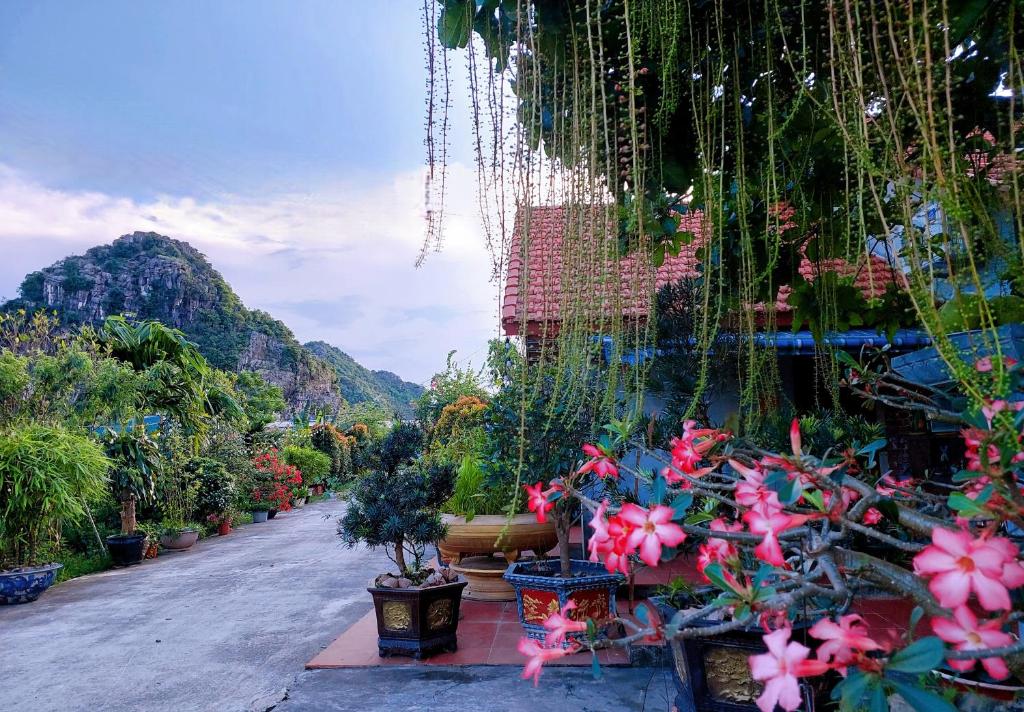 Ninh Binh Green Farmstay