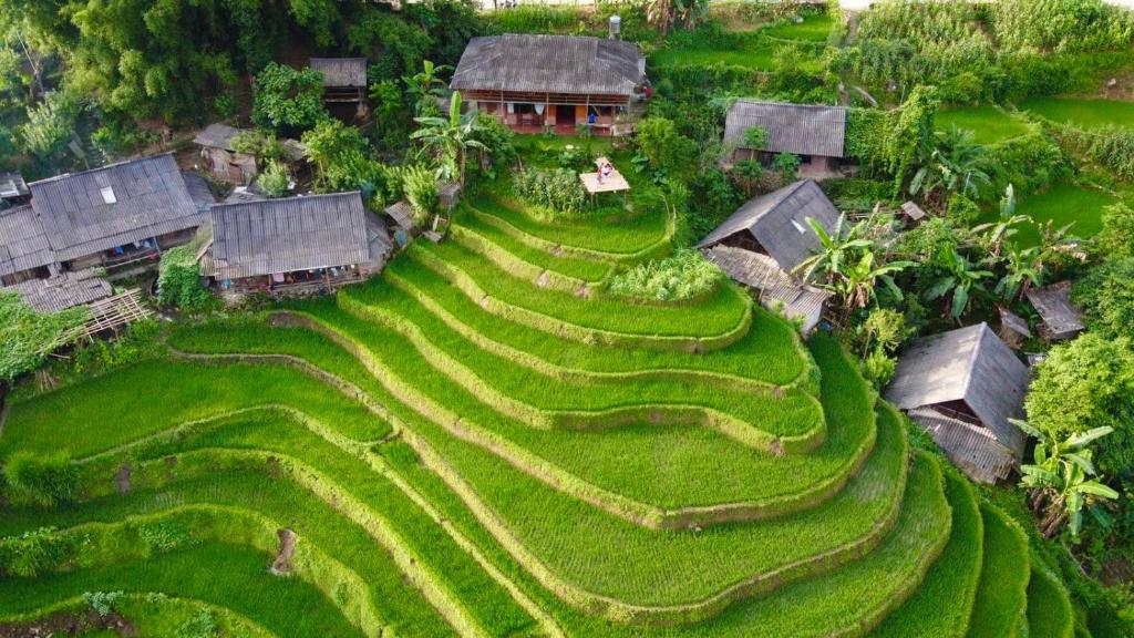 My's Homestay sapa