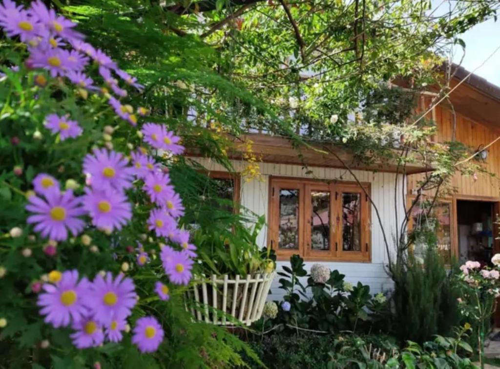 Hiên Nhà Có Hoa Homestay