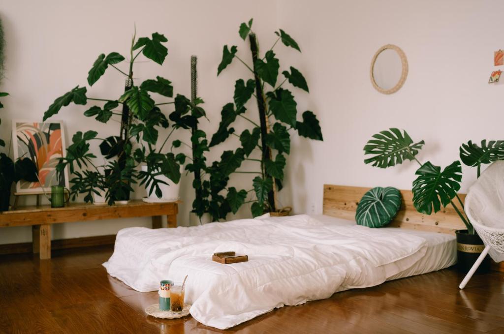LáVuTa Home