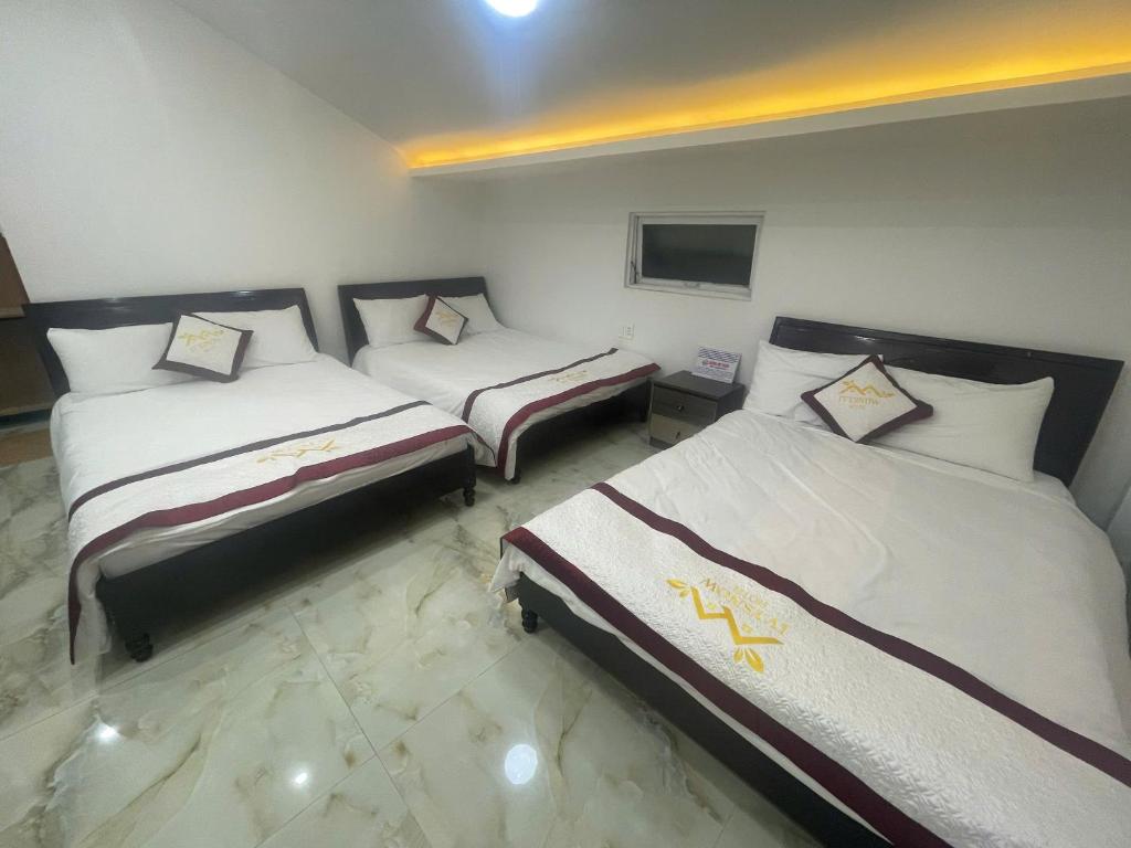 IvySnow Đà Lạt