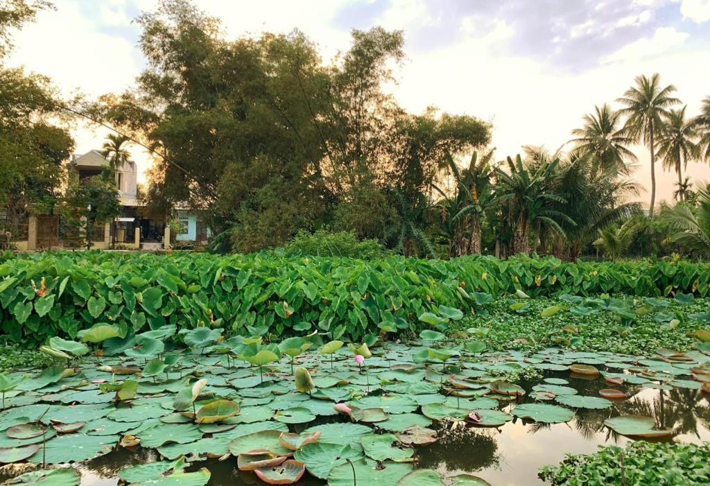 Khách sạn căn hộ Sentosa Coco