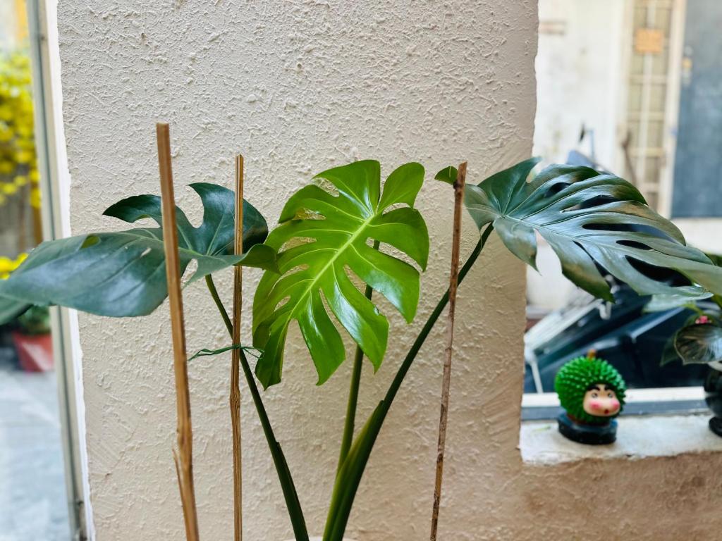 Little Garden Homestay
