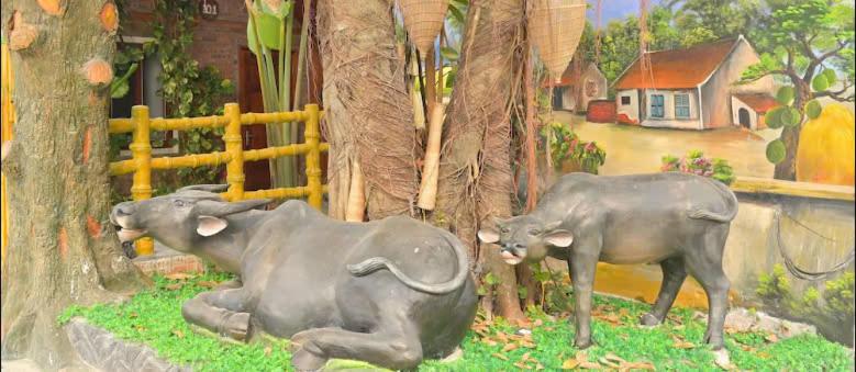 Tam Coc Ninh Binh Bungalow Ha Anh