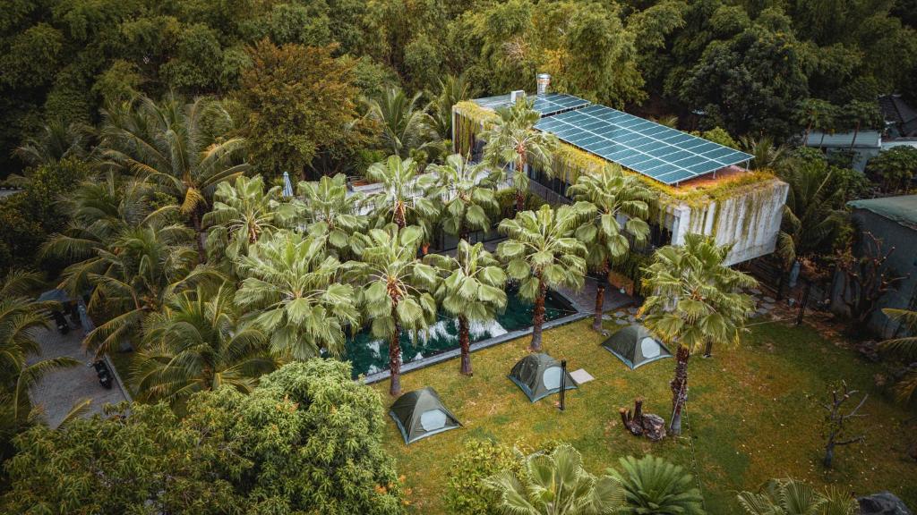 Palm Villa