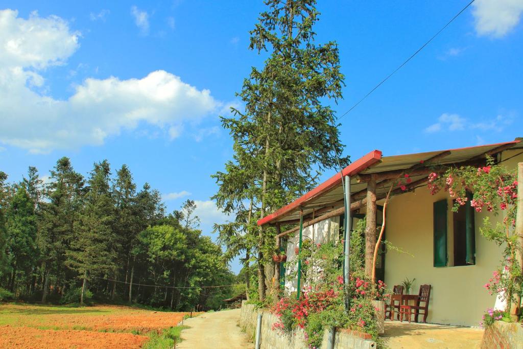 Private House in SaPa Centre & Kitchen