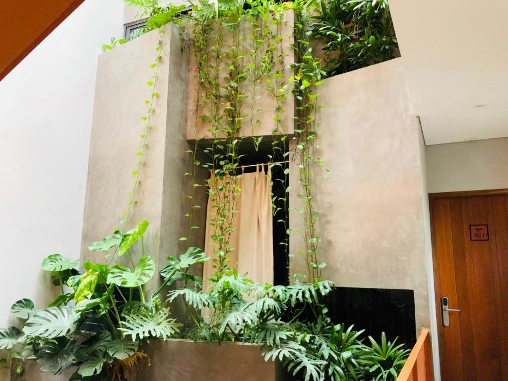 Shelter Stay Da Nang