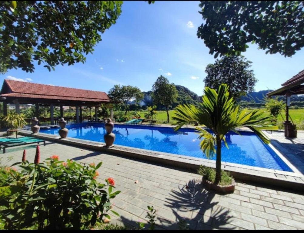Tam Coc Mr Loa Homestay