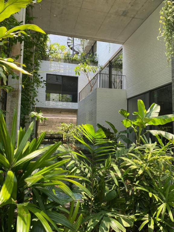 The house close to nature