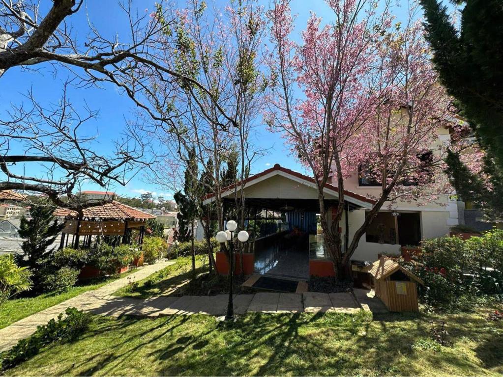 Tomato Homestay