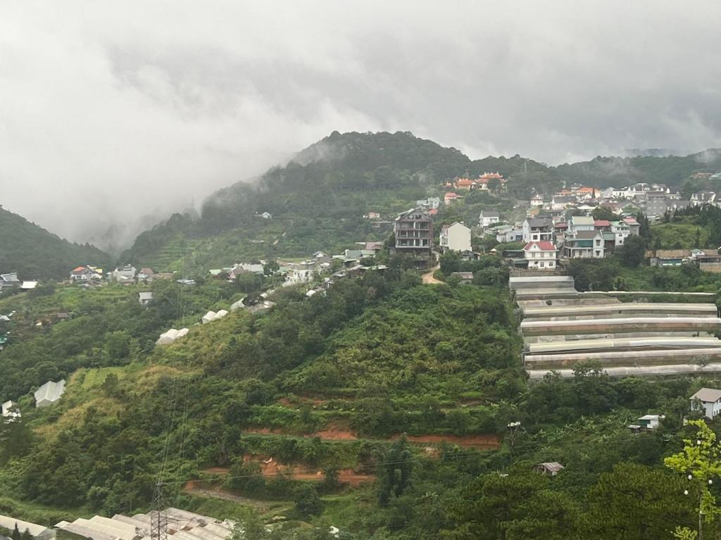 Vivu Đà Lạt Homestay 2